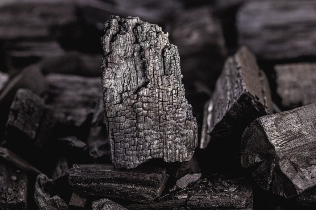 10 meilleurs types de charbon de bois pour les barbecues de viande mûrie aurocha premium