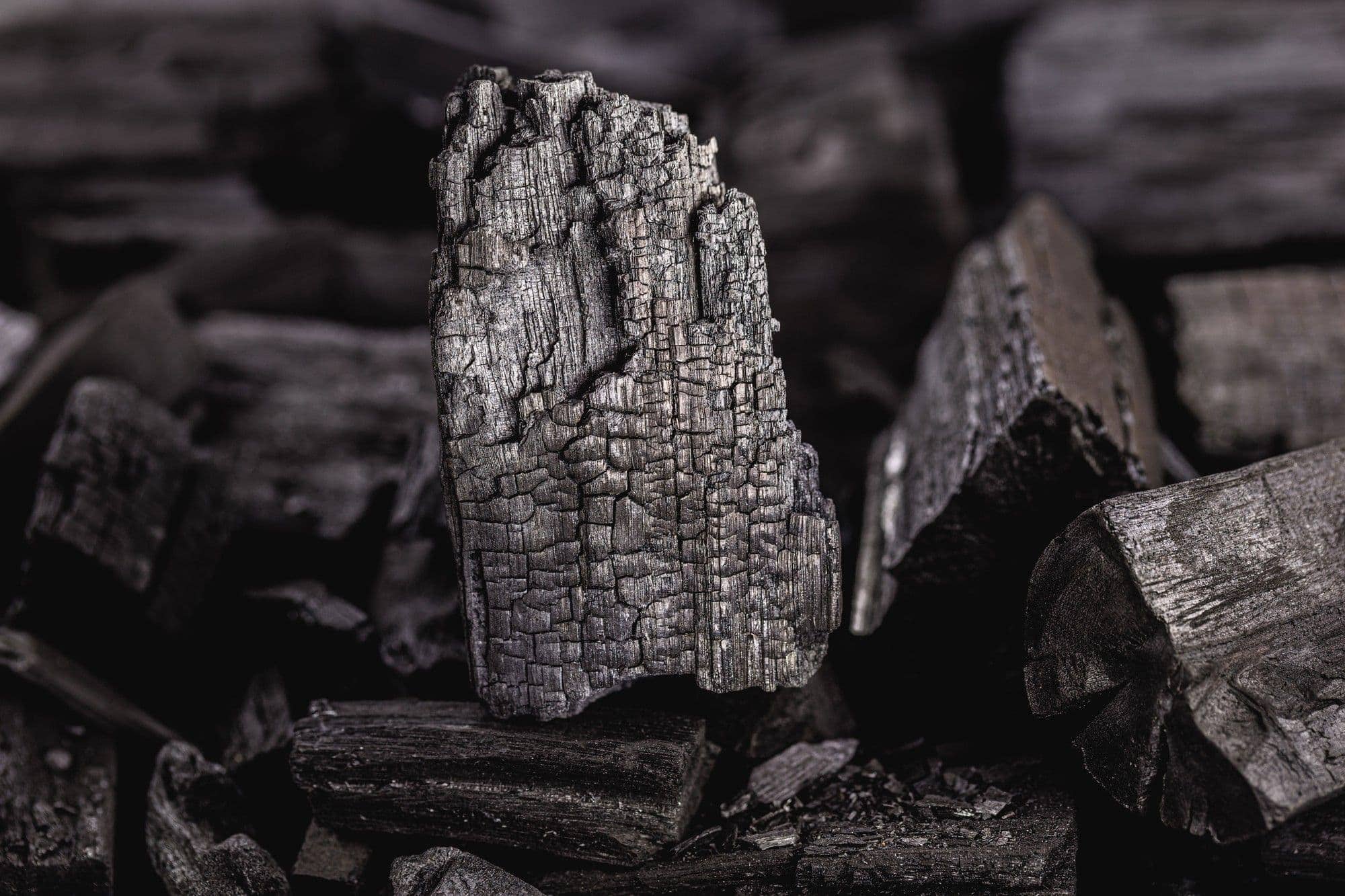 blog 2 10 meilleurs types de charbon de bois pour les barbecues de viande mûrie aurocha premium