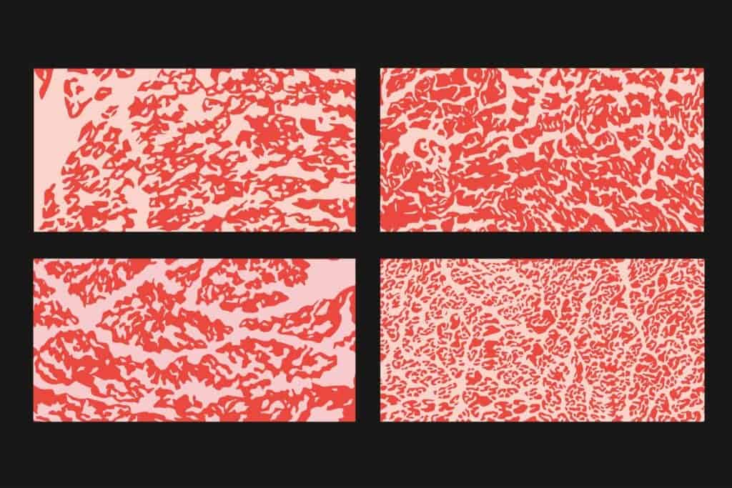 différences et similitudes entre le wagyu et le kobe tout ce qu'il faut savoir le bœuf aurocha premium matured beef